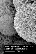 nanotechnology_nanotubes